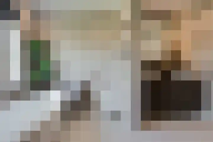 Rembrandtlaan 45 Bleiswijk thumbnail 35
