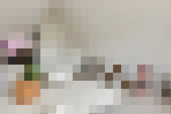 Rembrandtlaan 45 Bleiswijk thumbnail 42
