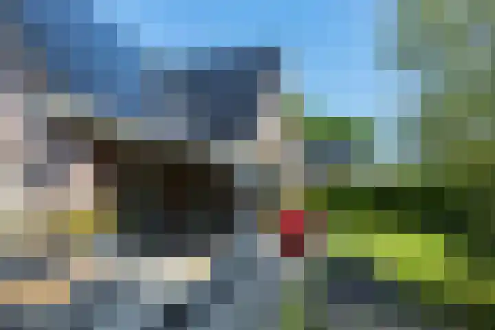 Rembrandtlaan 45 Bleiswijk thumbnail 46