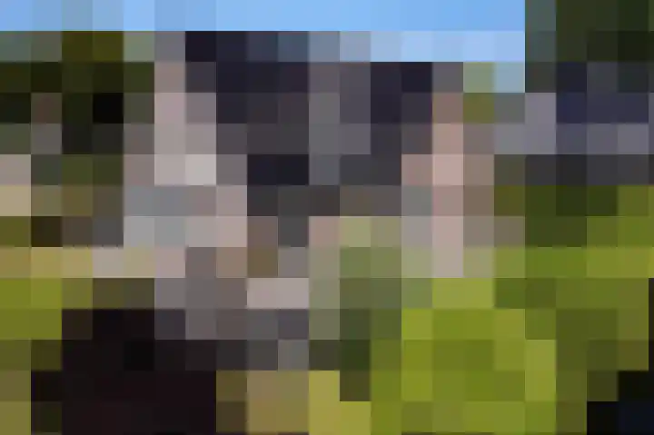 Rembrandtlaan 45 Bleiswijk thumbnail 48