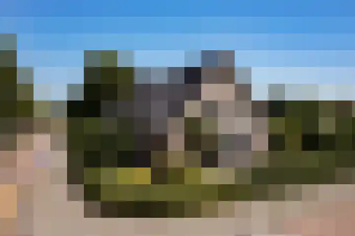 Rembrandtlaan 45 Bleiswijk thumbnail 5