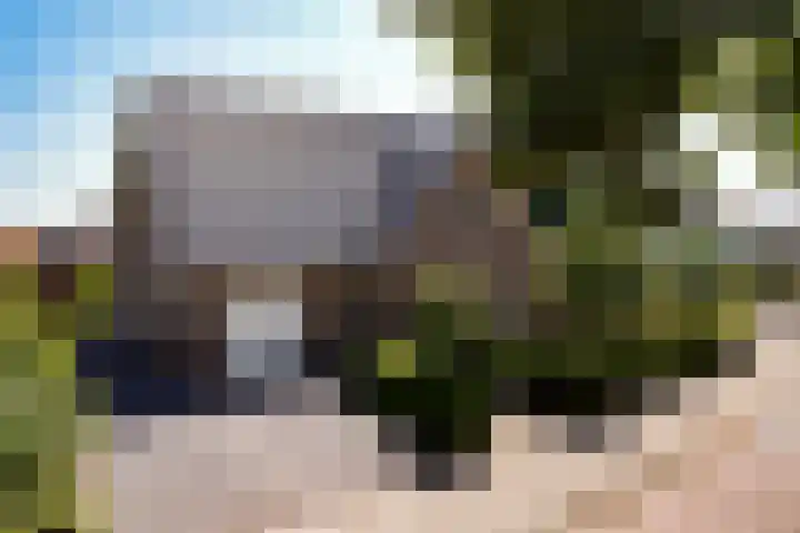 Rembrandtlaan 45 Bleiswijk thumbnail 6
