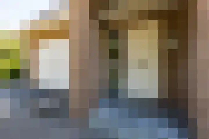 Rembrandtlaan 45 Bleiswijk thumbnail 7