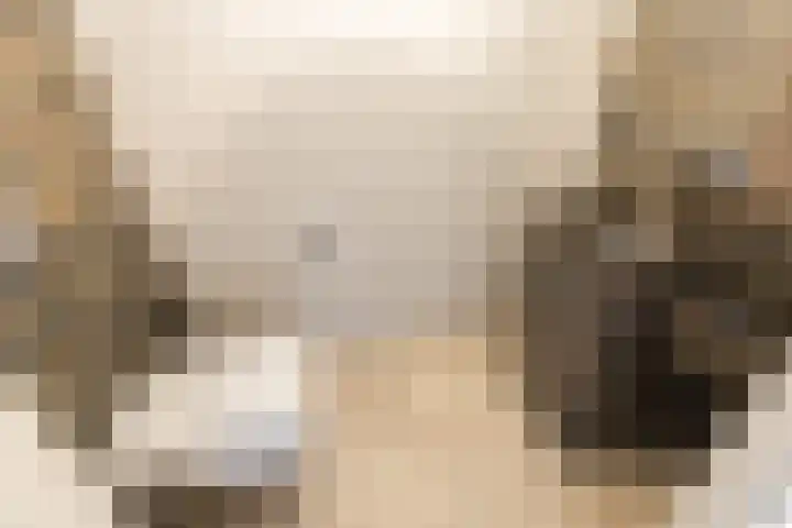 Rembrandtlaan 45 Bleiswijk thumbnail 9