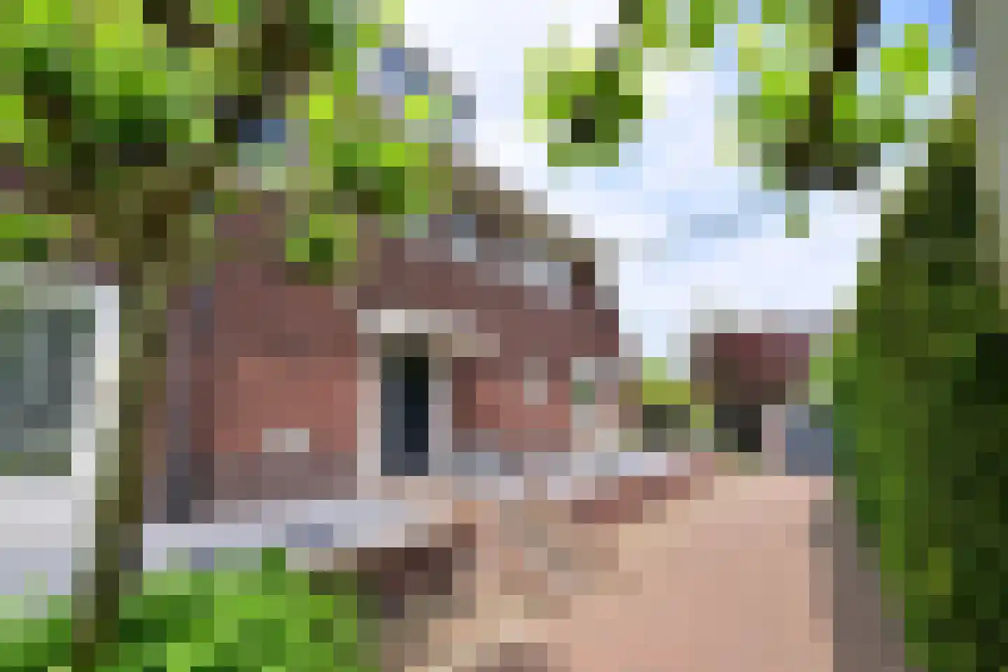 Rembrandtlaan 45 Naarden foto 3