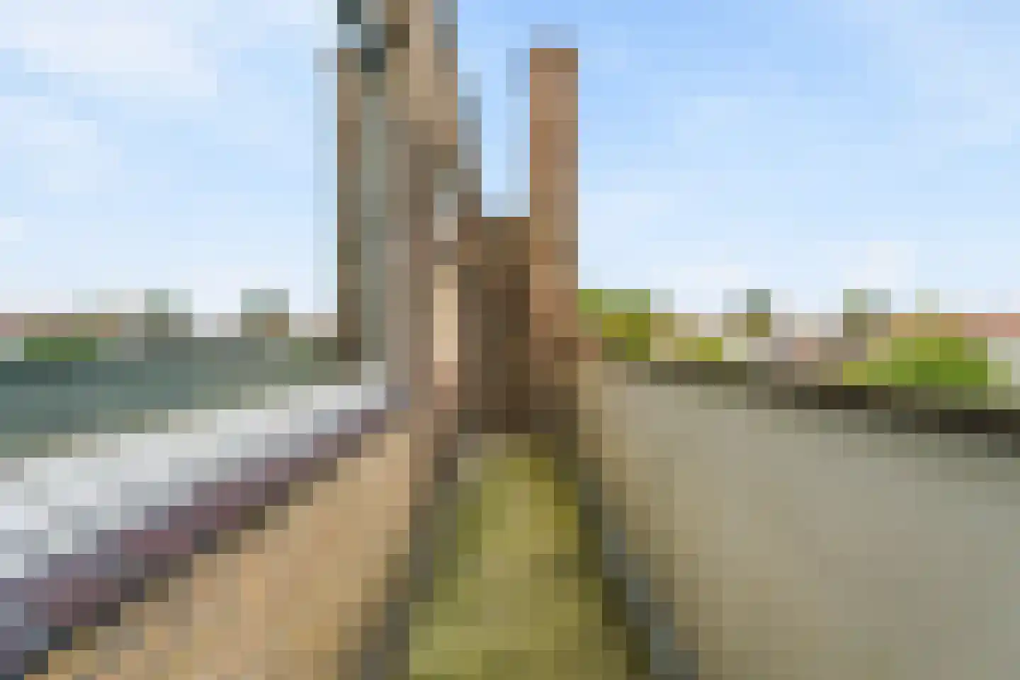 Rembrandtlaan 46 B Schiedam thumbnail 35