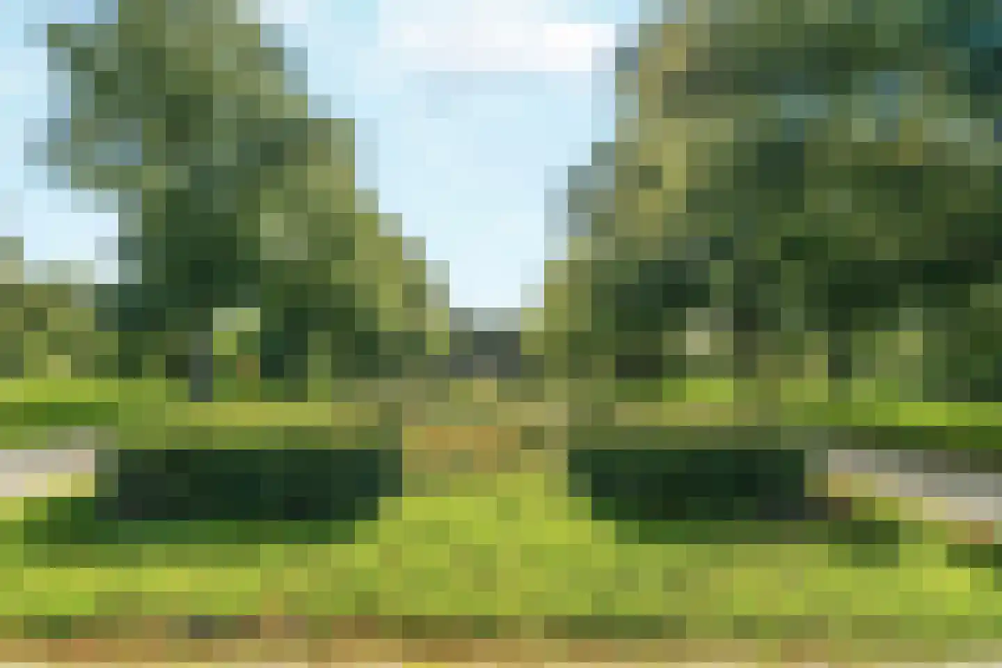 Rembrandtlaan 46 B Schiedam thumbnail 43