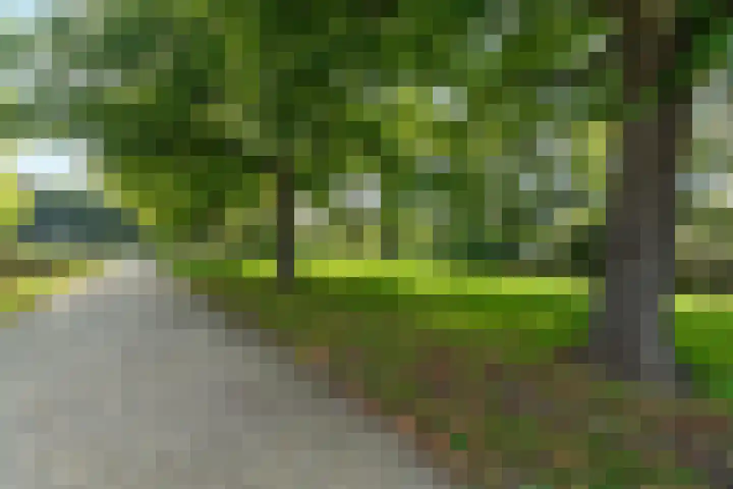 Rembrandtlaan 46 B Schiedam thumbnail 44