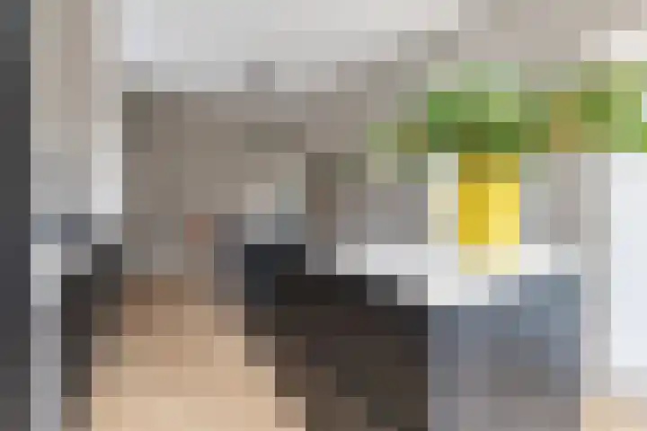 Rembrandtlaan 46 Naarden thumbnail 17
