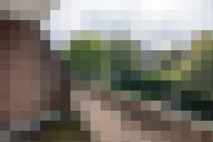 Rembrandtlaan 46 Naarden thumbnail 24