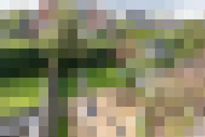 Rembrandtlaan 46 Naarden thumbnail 25