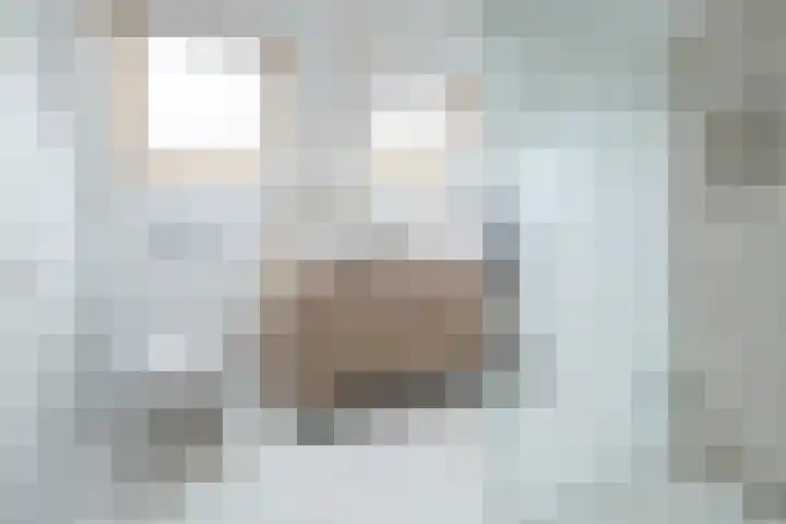 Rembrandtlaan 46 Naarden thumbnail 41