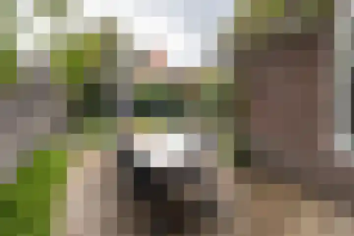Rembrandtlaan 46 Naarden thumbnail 43