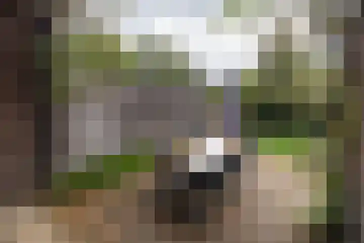 Rembrandtlaan 46 Naarden thumbnail 44