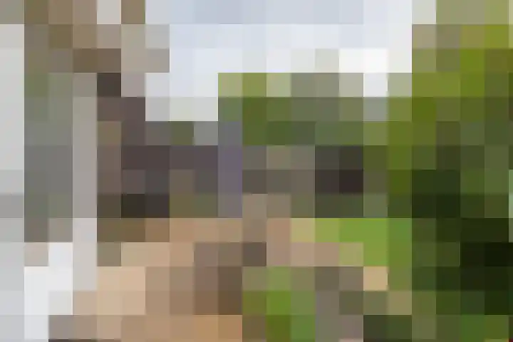 Rembrandtlaan 46 Naarden thumbnail 45