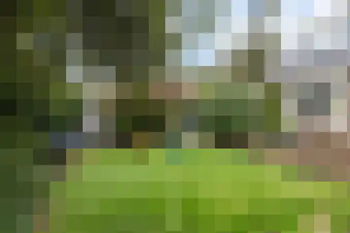 Rembrandtlaan 46 Naarden thumbnail 49