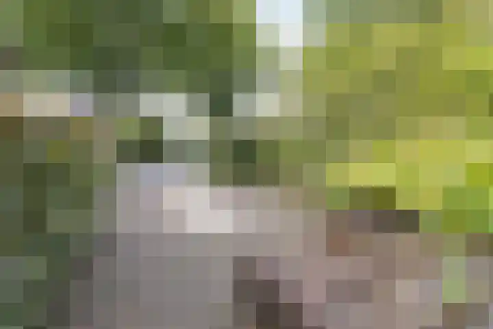 Rembrandtlaan 46 Naarden thumbnail 53