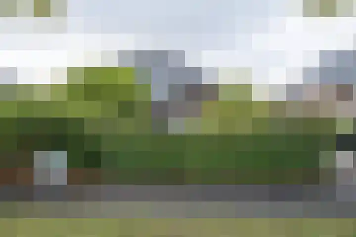 Rembrandtlaan 46 Naarden thumbnail 61