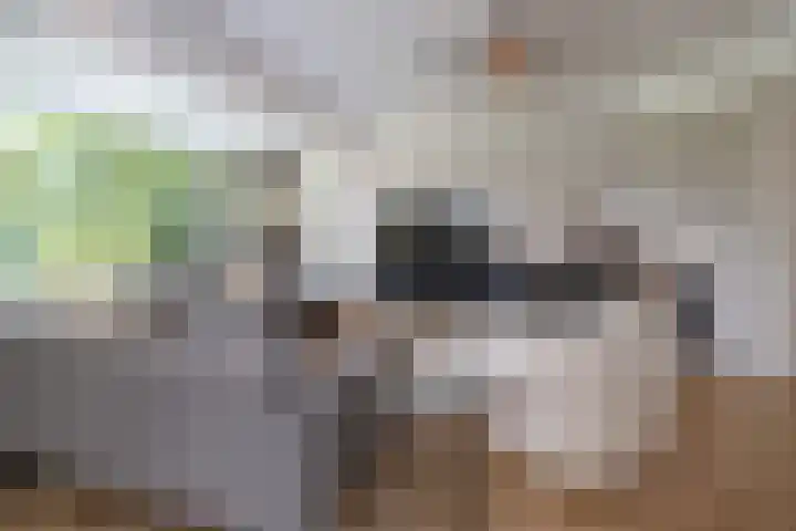 Rembrandtlaan 46 Naarden thumbnail 8