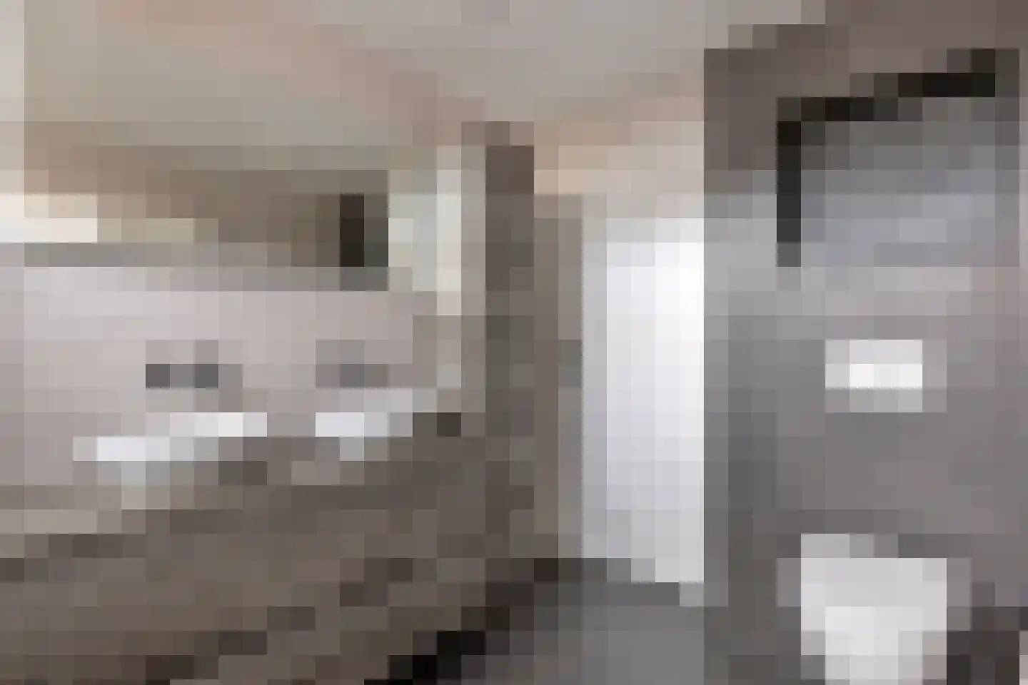 Rembrandtlaan 46 Scherpenzeel thumbnail 15