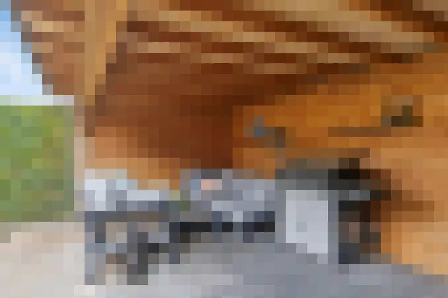 Rembrandtlaan 46 Scherpenzeel thumbnail 27