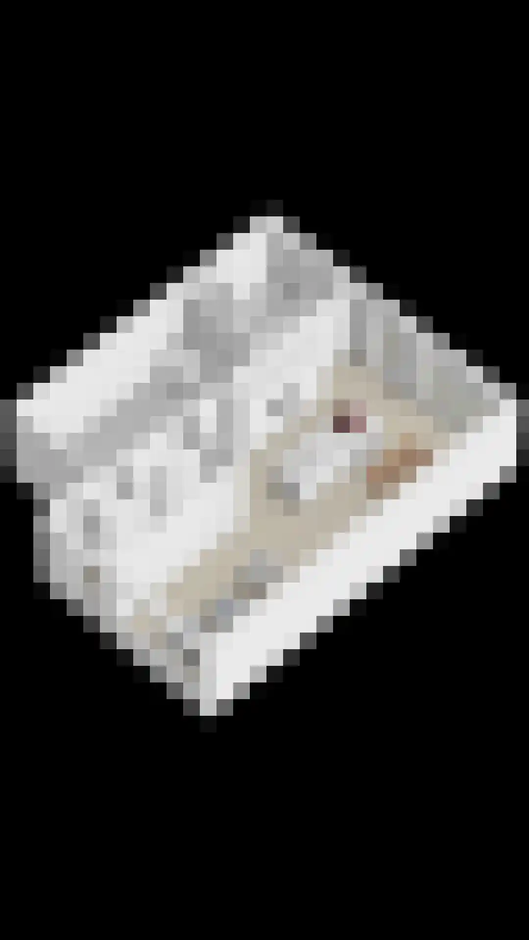 Rembrandtlaan 46 Scherpenzeel thumbnail 37