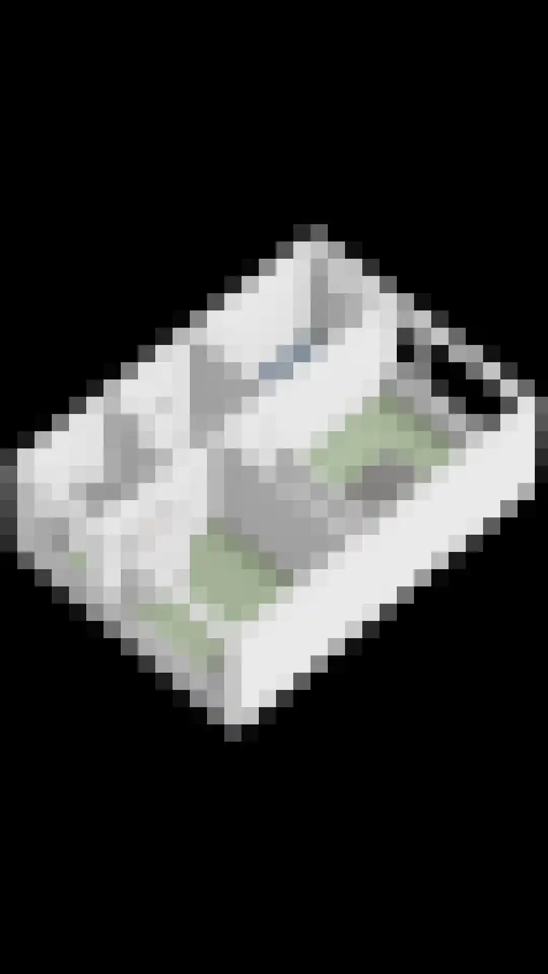 Rembrandtlaan 46 Scherpenzeel thumbnail 38