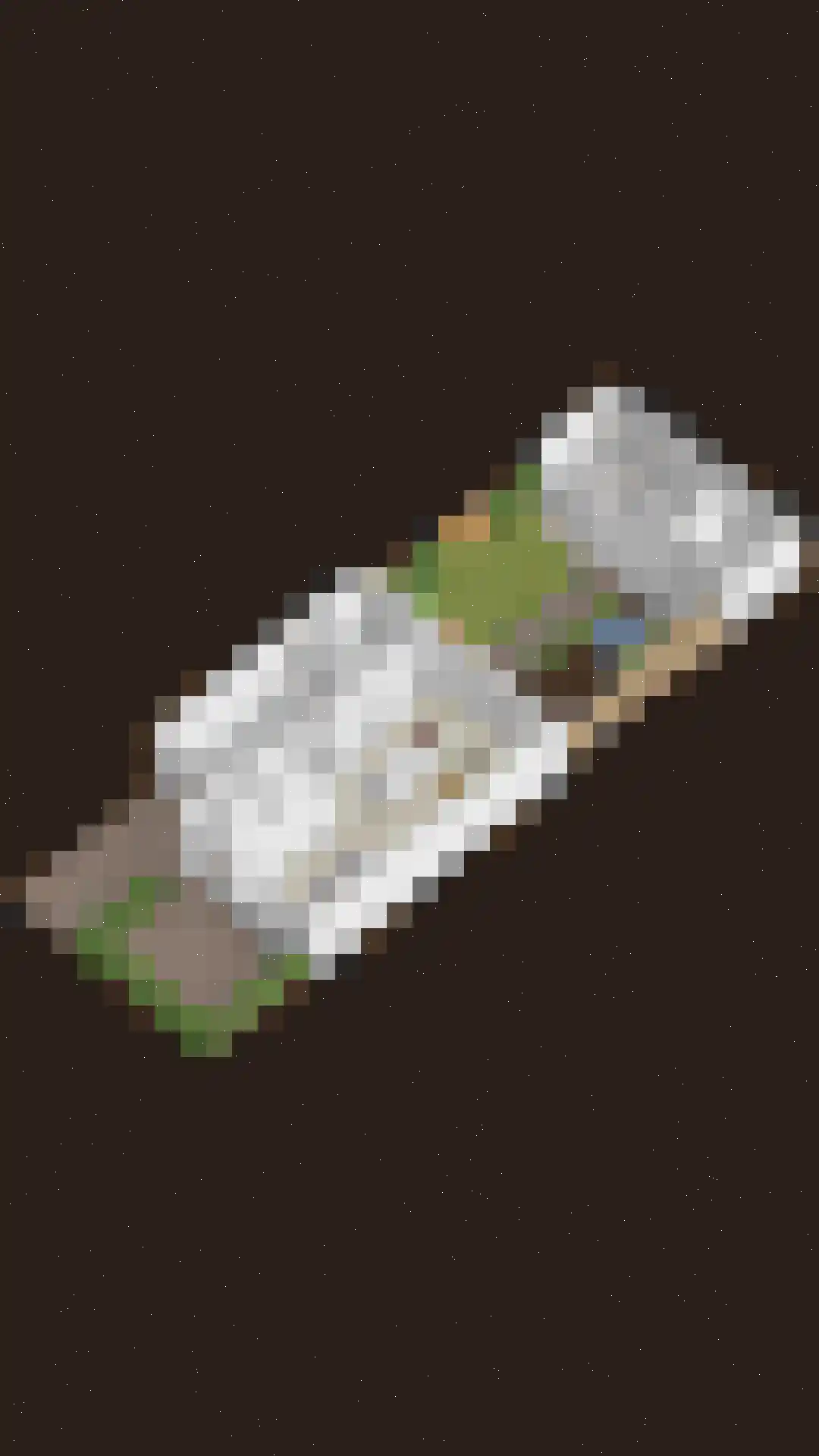 Rembrandtlaan 46 Scherpenzeel thumbnail 40