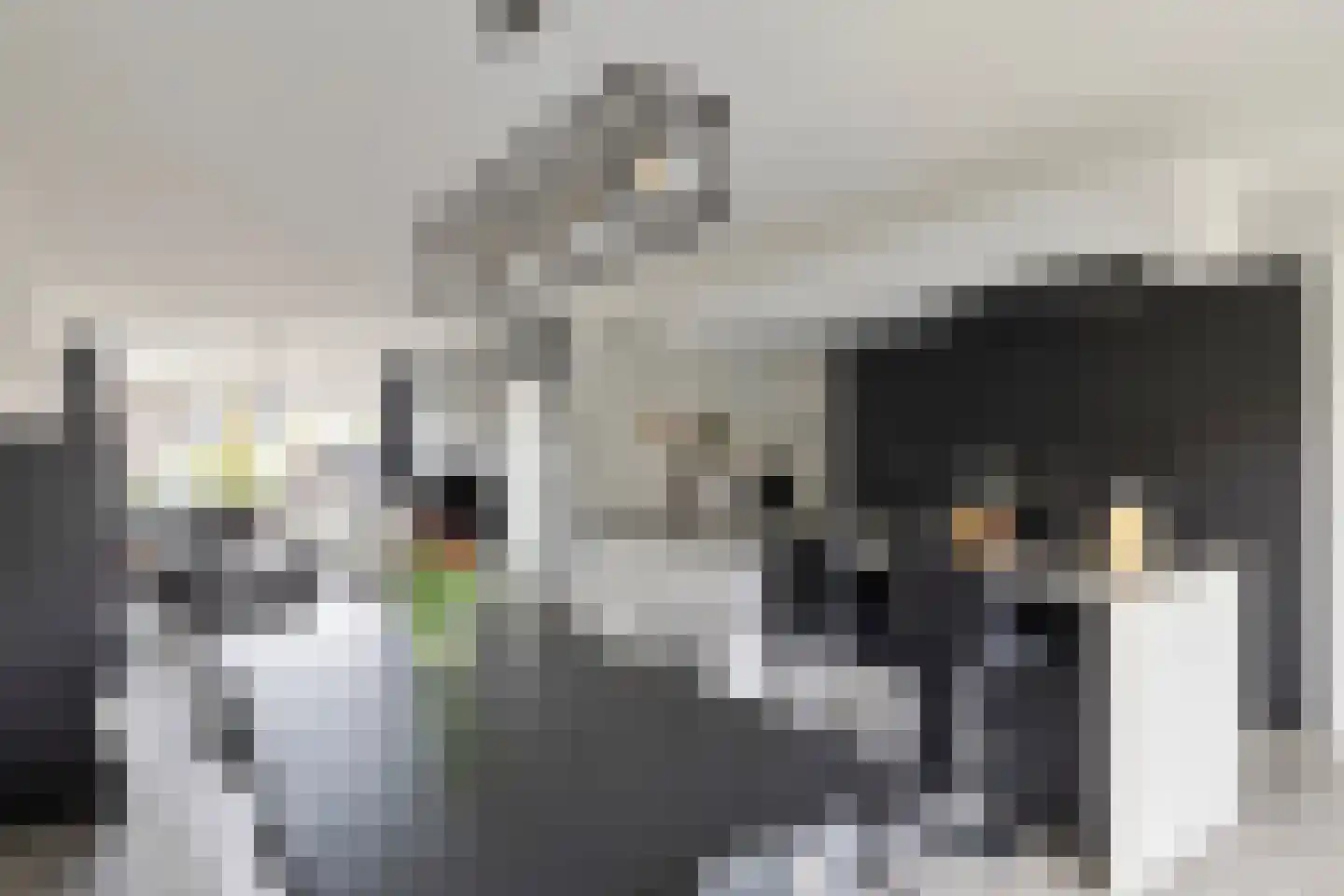 Rembrandtlaan 46 Scherpenzeel thumbnail 8