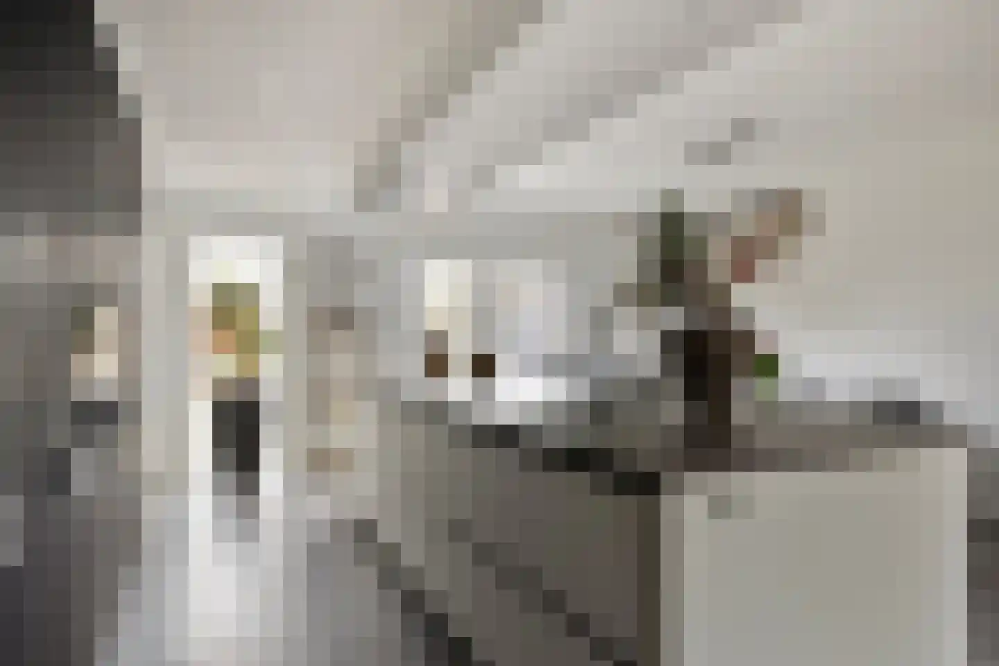 Rembrandtlaan 46 Scherpenzeel thumbnail 9