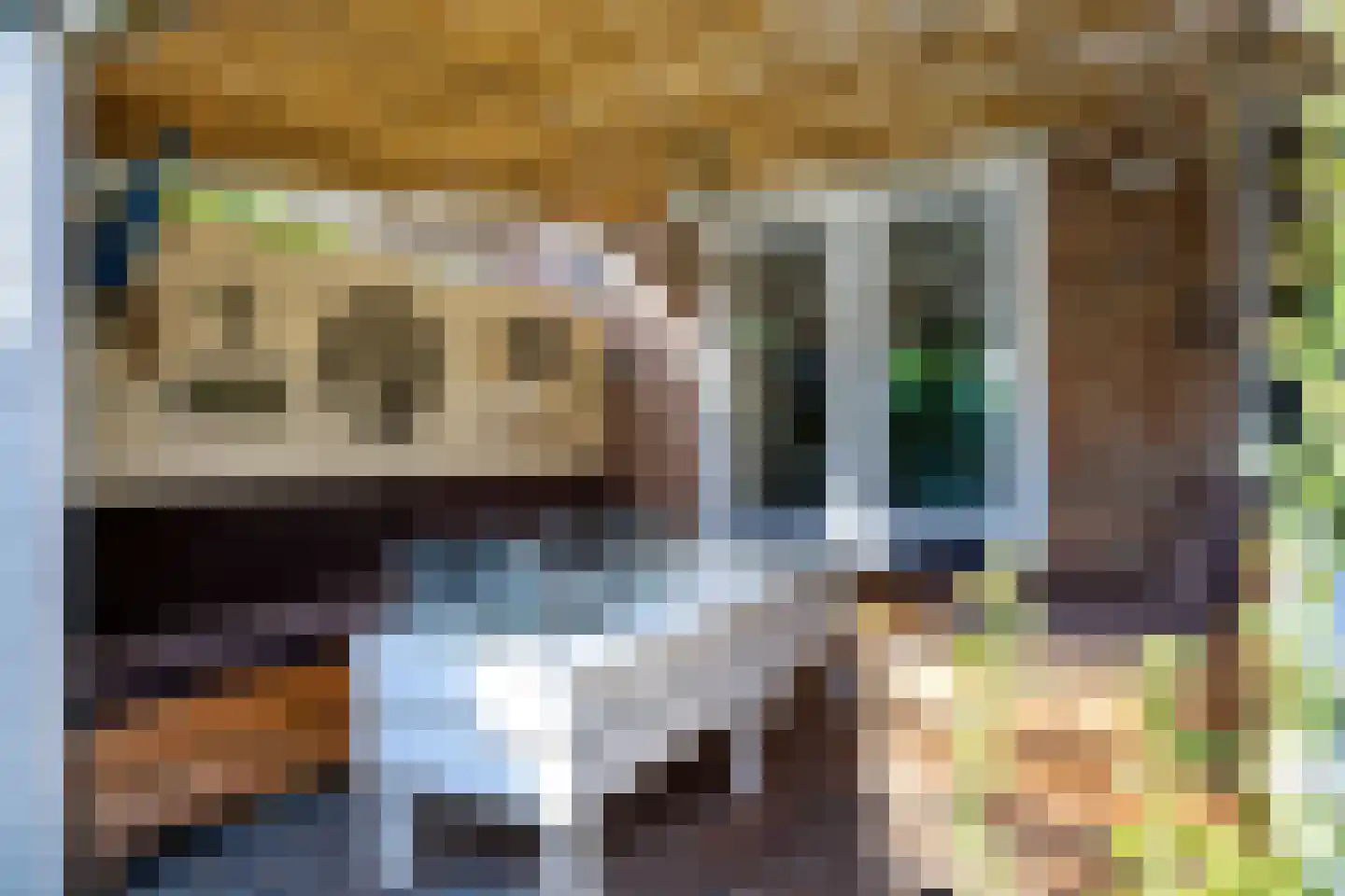 Rembrandtlaan 47 Apeldoorn thumbnail 22