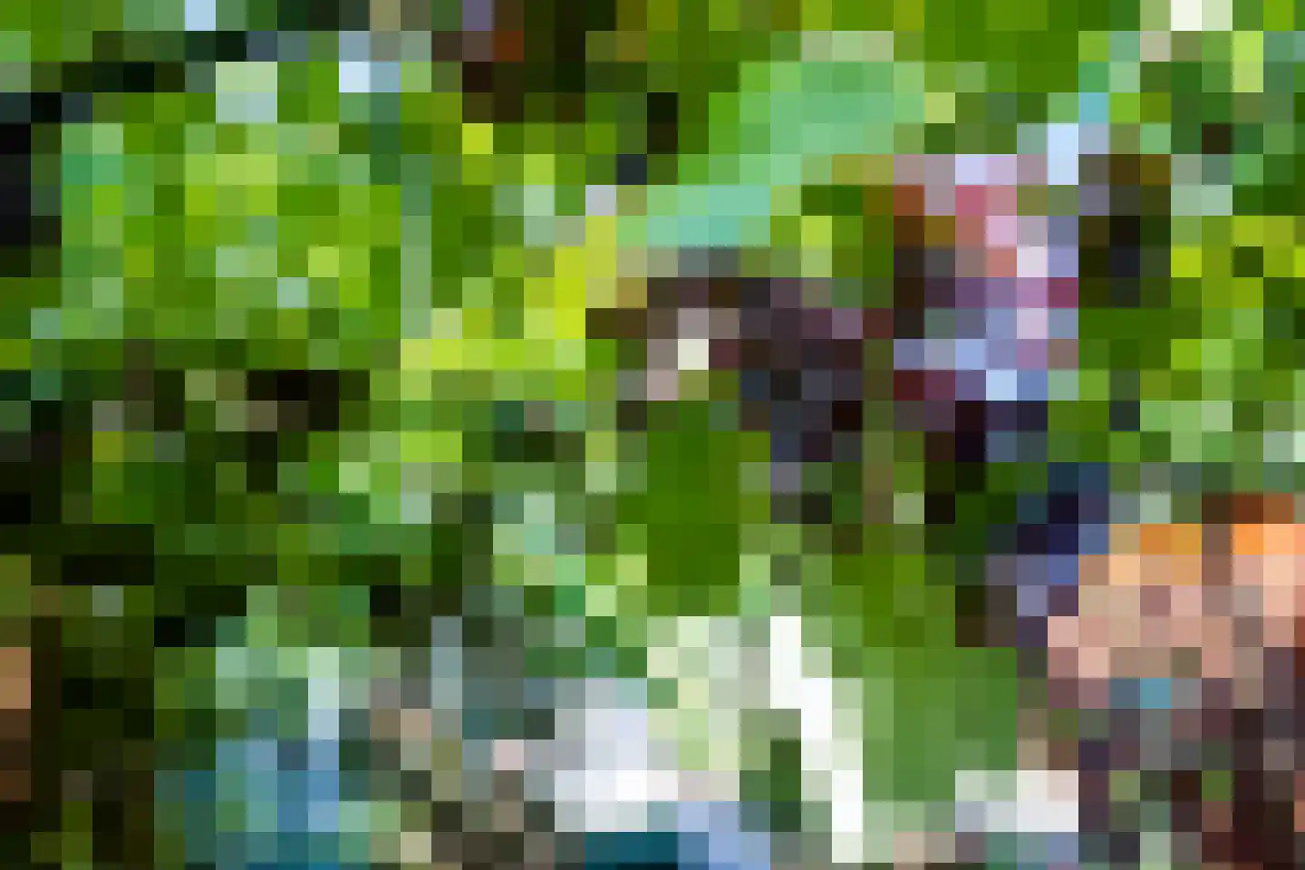 Rembrandtlaan 47 Apeldoorn thumbnail 24