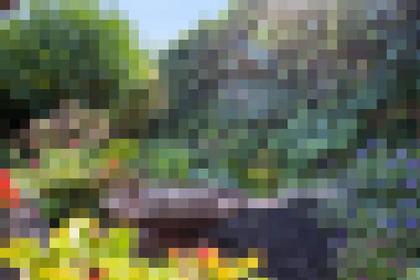Rembrandtlaan 47 Apeldoorn thumbnail 26