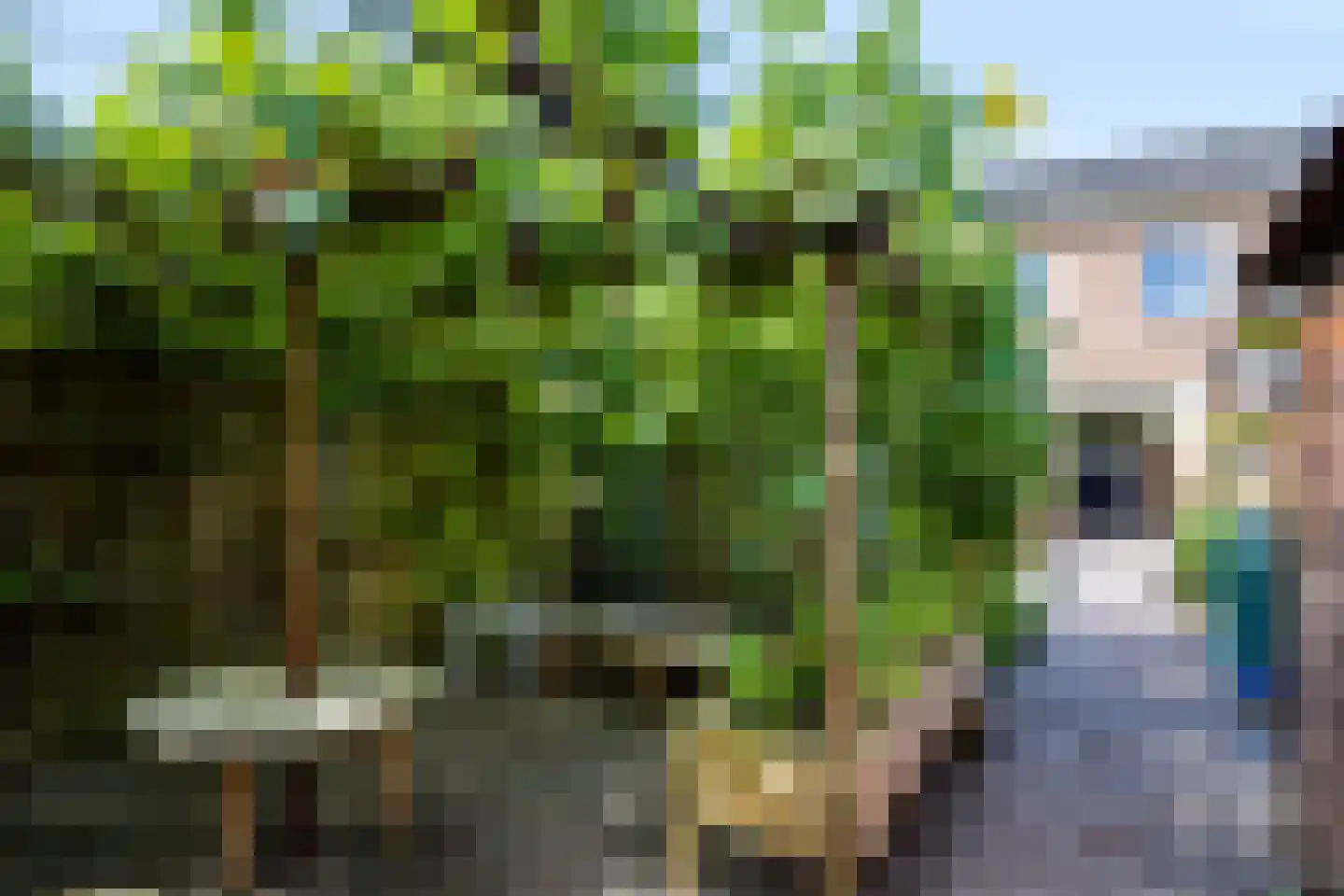 Rembrandtlaan 47 Apeldoorn thumbnail 4