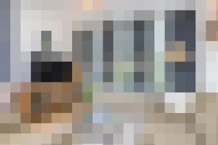 Rembrandtlaan 47 Geleen thumbnail 10