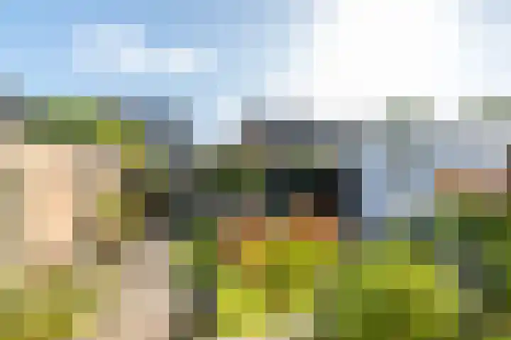 Rembrandtlaan 47 Geleen thumbnail 22