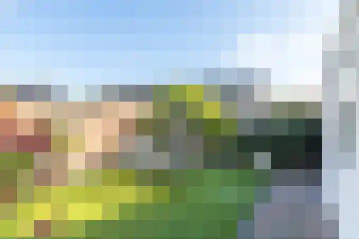 Rembrandtlaan 47 Geleen thumbnail 23