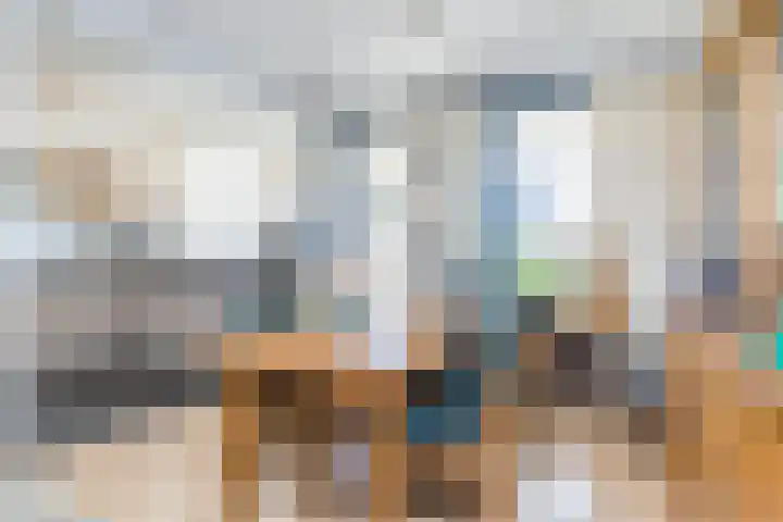 Rembrandtlaan 47 Geleen thumbnail 8