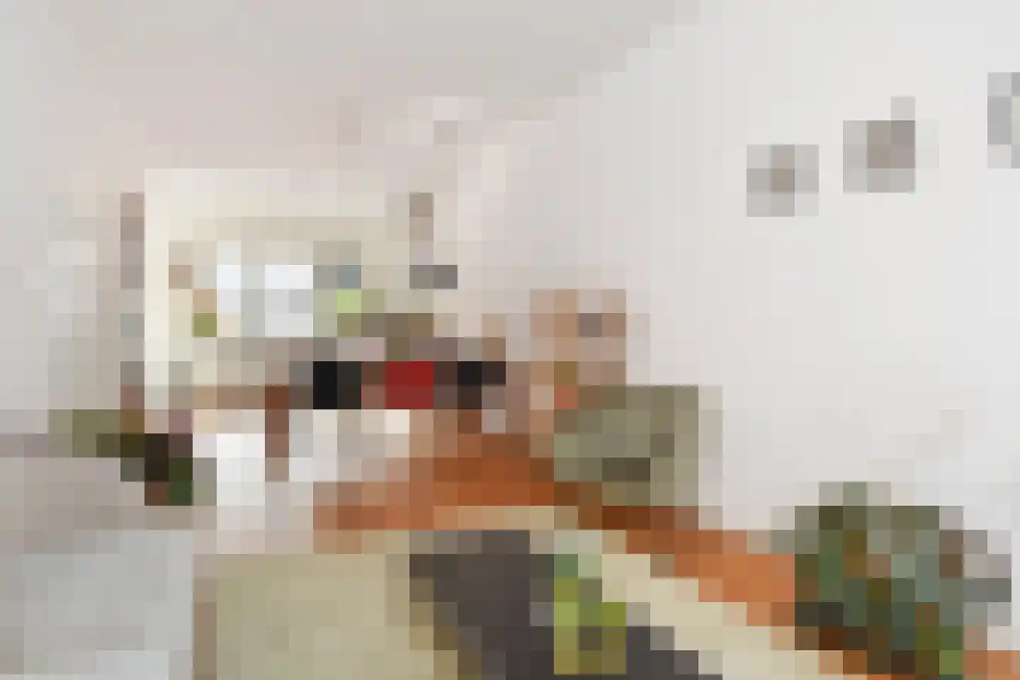 Rembrandtlaan 47 Voorburg thumbnail 13