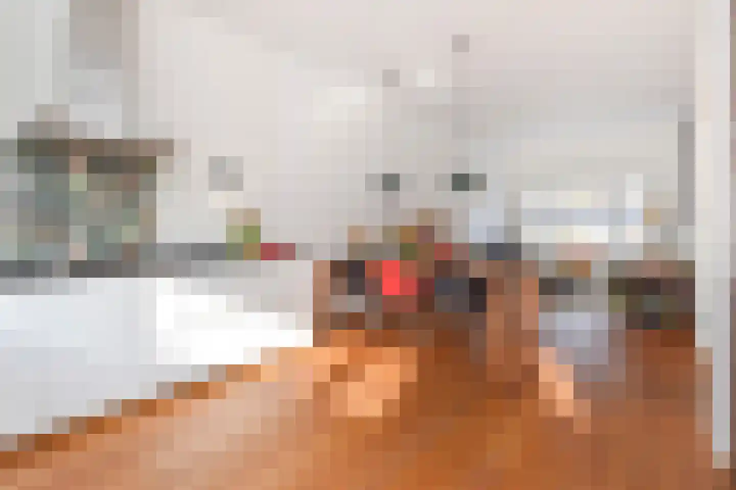 Rembrandtlaan 47 Voorburg thumbnail 22