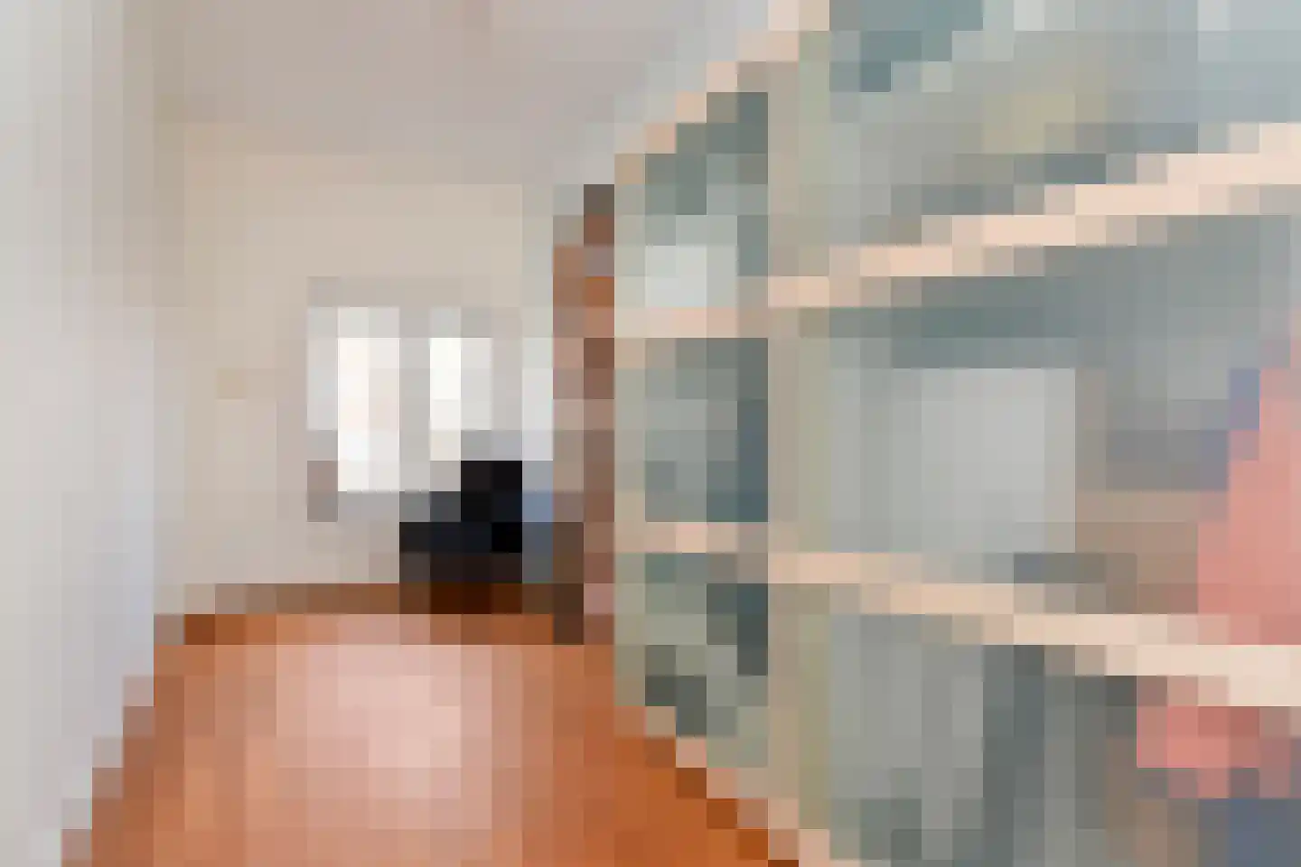Rembrandtlaan 47 Voorburg thumbnail 29