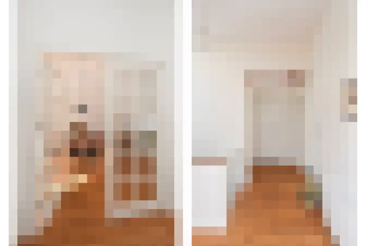 Rembrandtlaan 47 Voorburg thumbnail 8