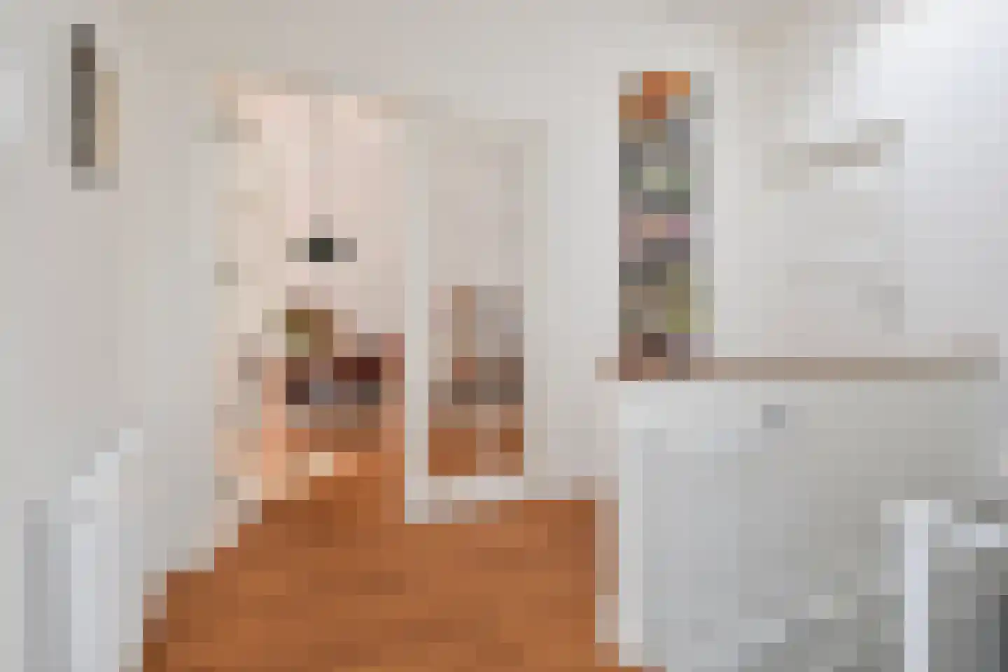 Rembrandtlaan 47 Voorburg thumbnail 9