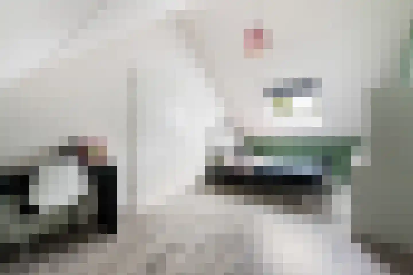 Rembrandtlaan 48 B Woerden thumbnail 30
