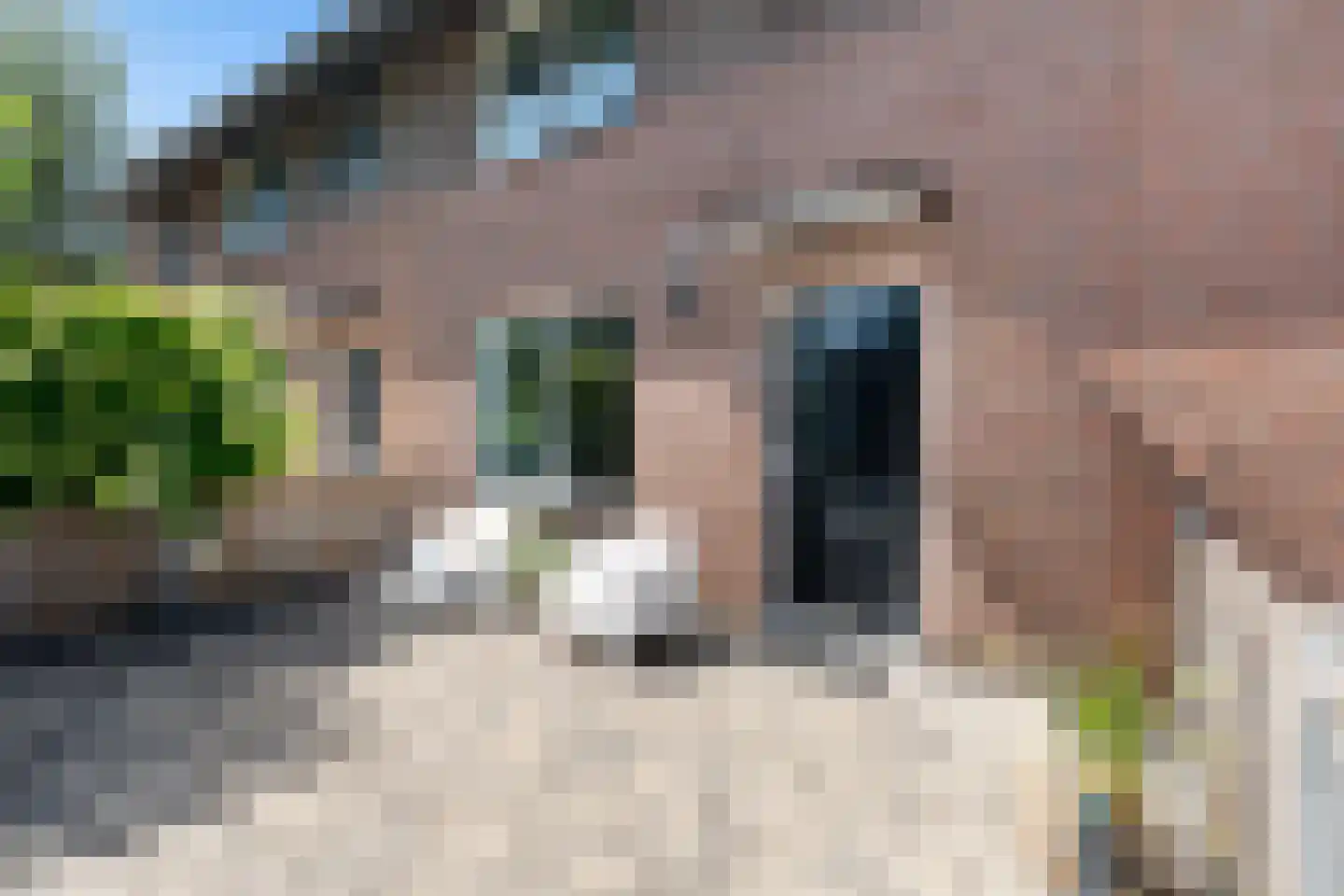 Rembrandtlaan 48 B Woerden thumbnail 6