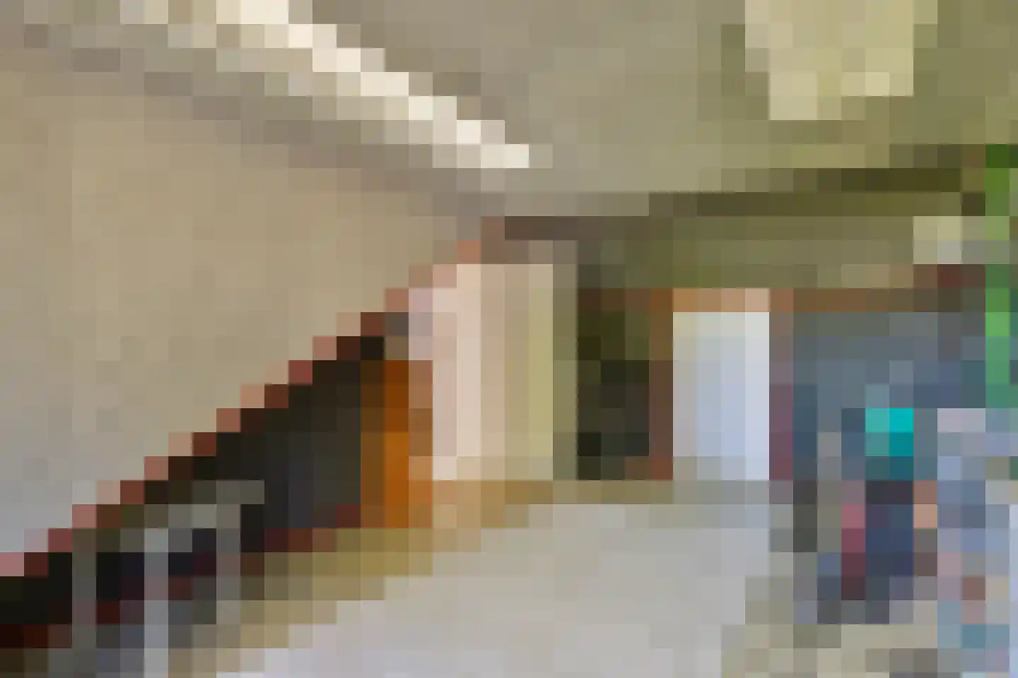 Rembrandtlaan 49 Veenendaal thumbnail 30
