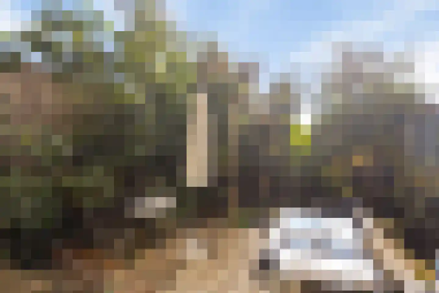 Rembrandtlaan 49 Veenendaal thumbnail 33