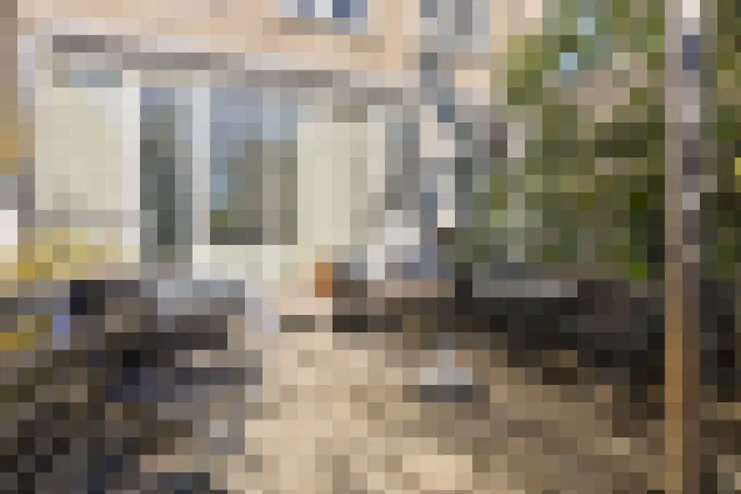 Rembrandtlaan 49 Veenendaal thumbnail 35