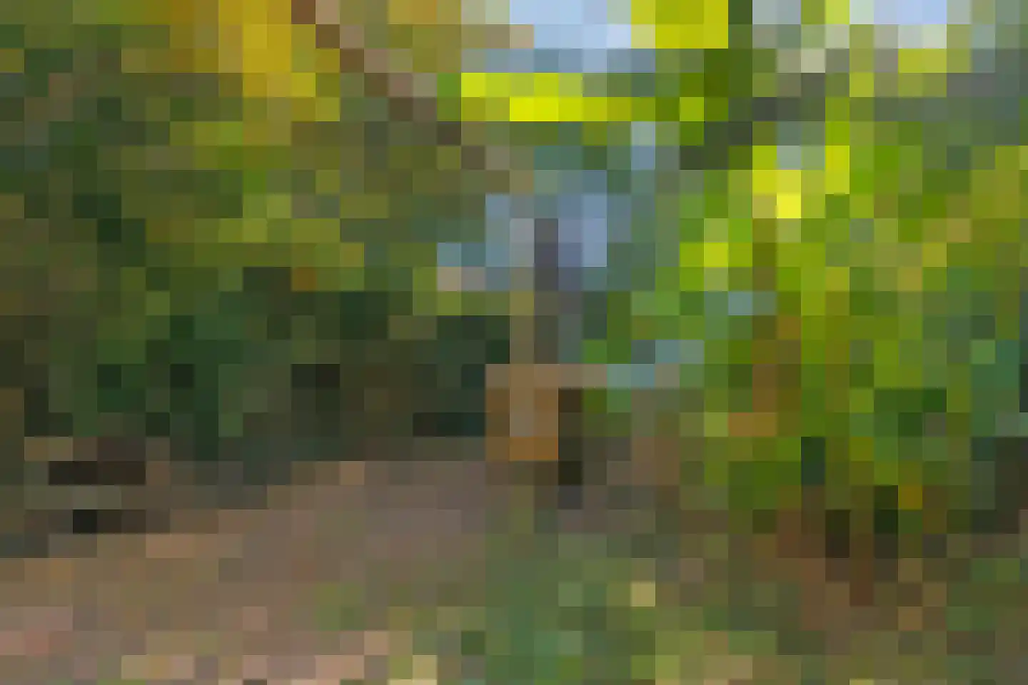 Rembrandtlaan 49 Veenendaal thumbnail 36
