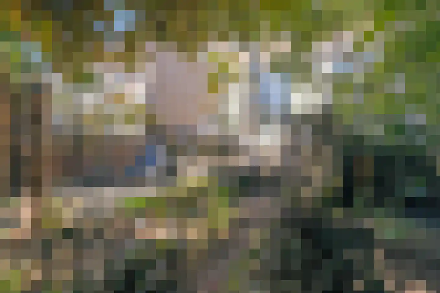 Rembrandtlaan 49 Veenendaal thumbnail 37